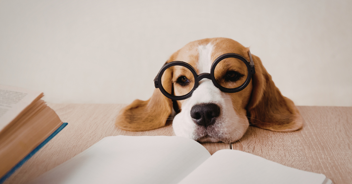 Vision Regression After LASIK: Why It Happens and What To Do thumbnail